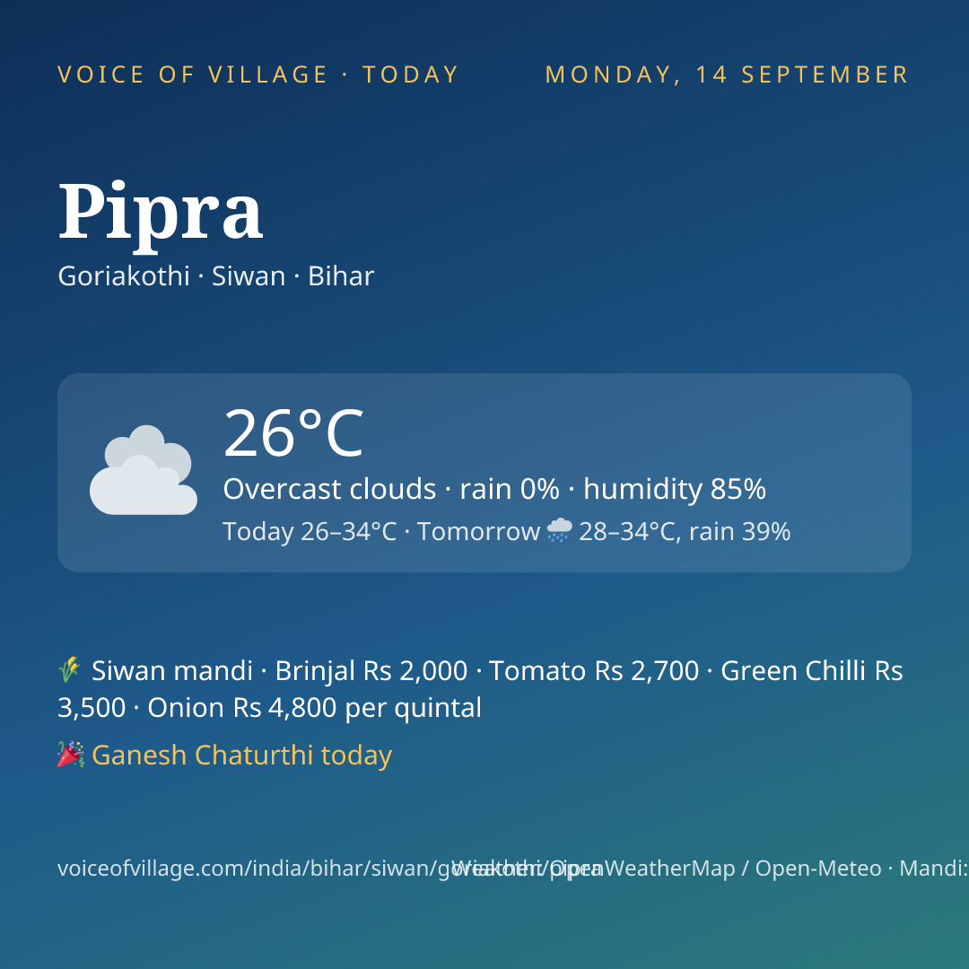 Pipra today