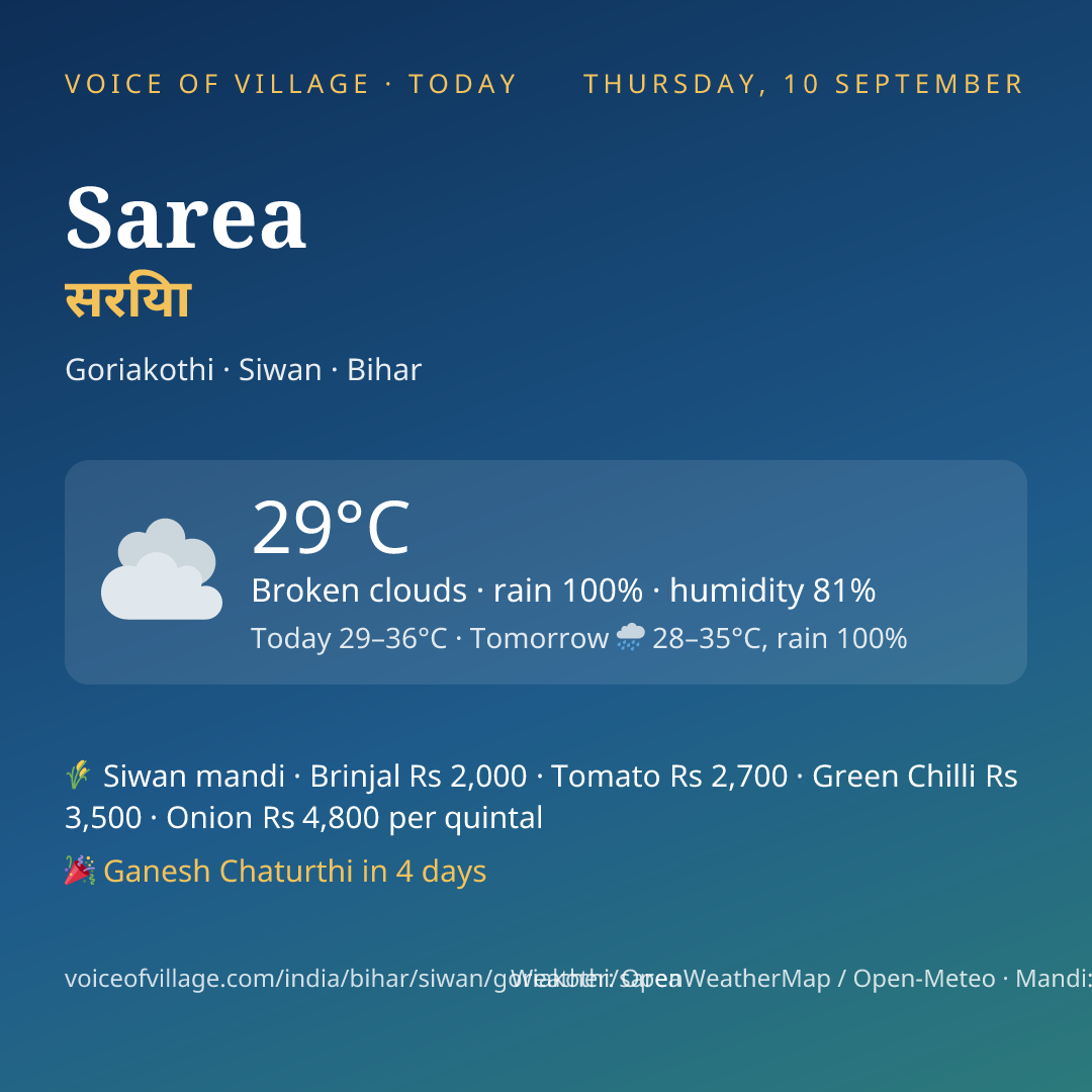 Sarea today