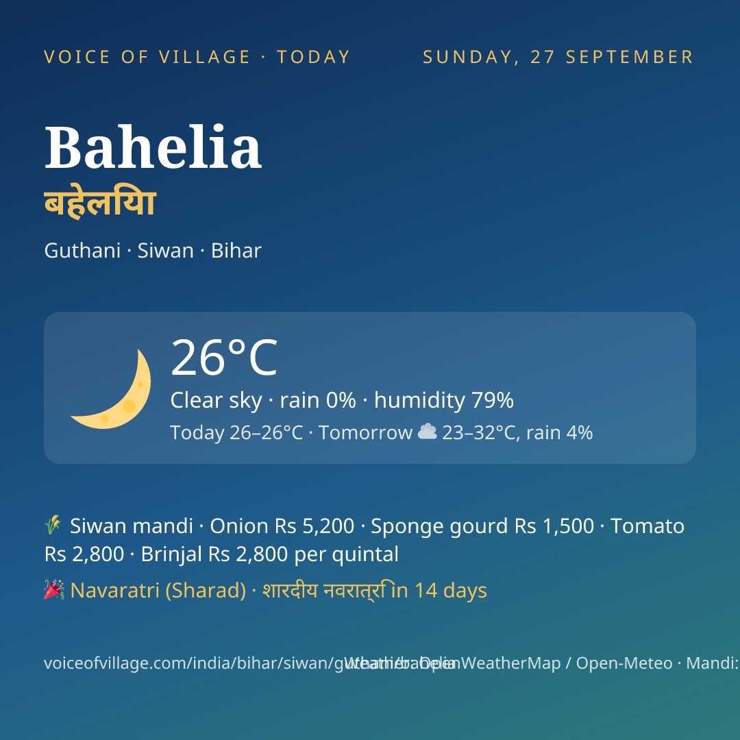 Bahelia today