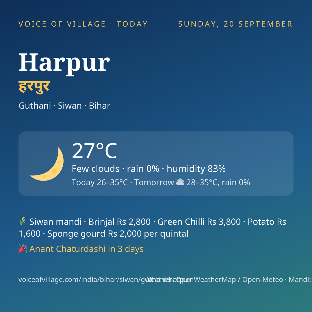 Harpur today