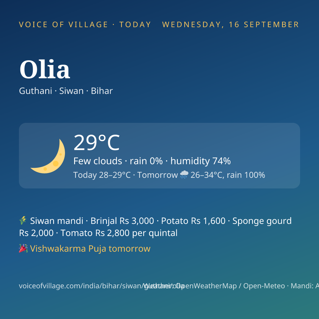 Olia today