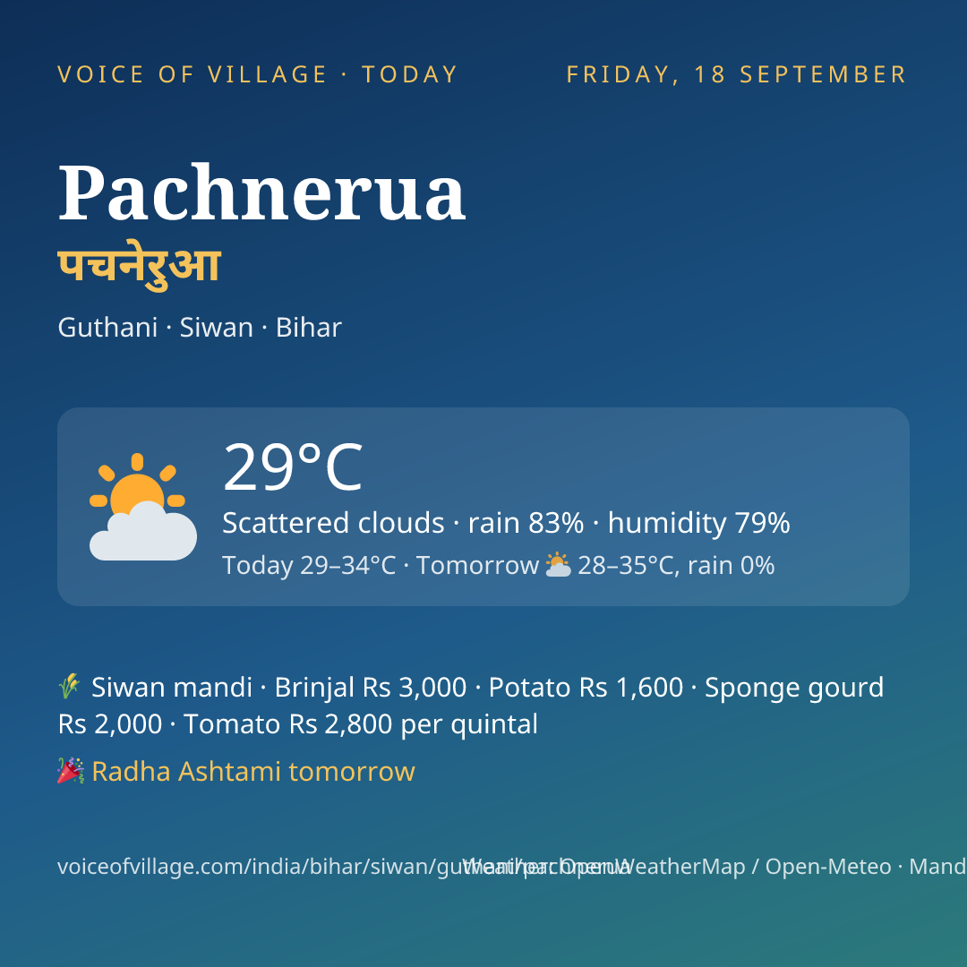 Pachnerua today
