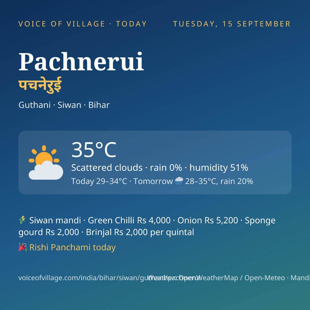 Pachnerui today