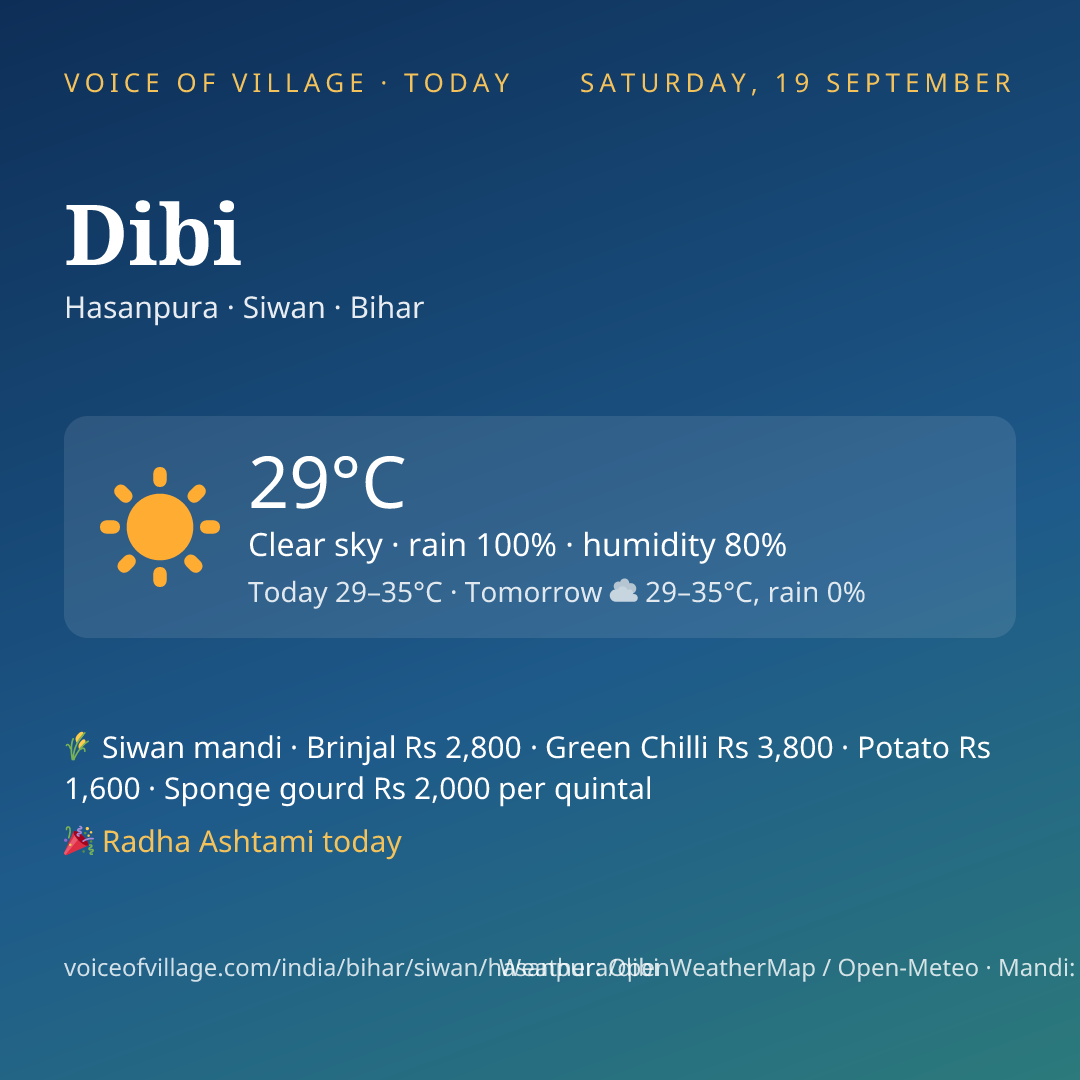 Dibi today
