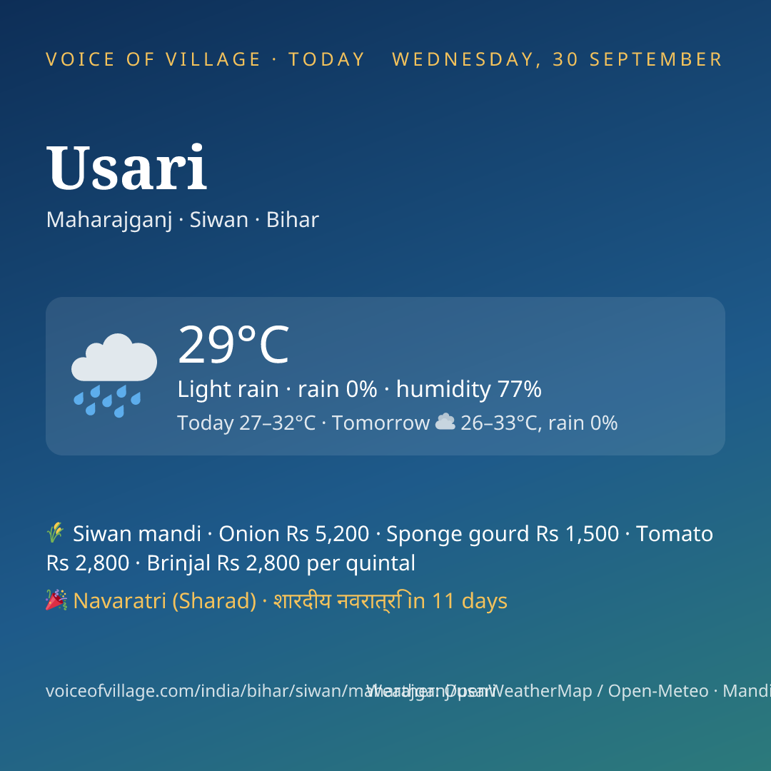 Usari today