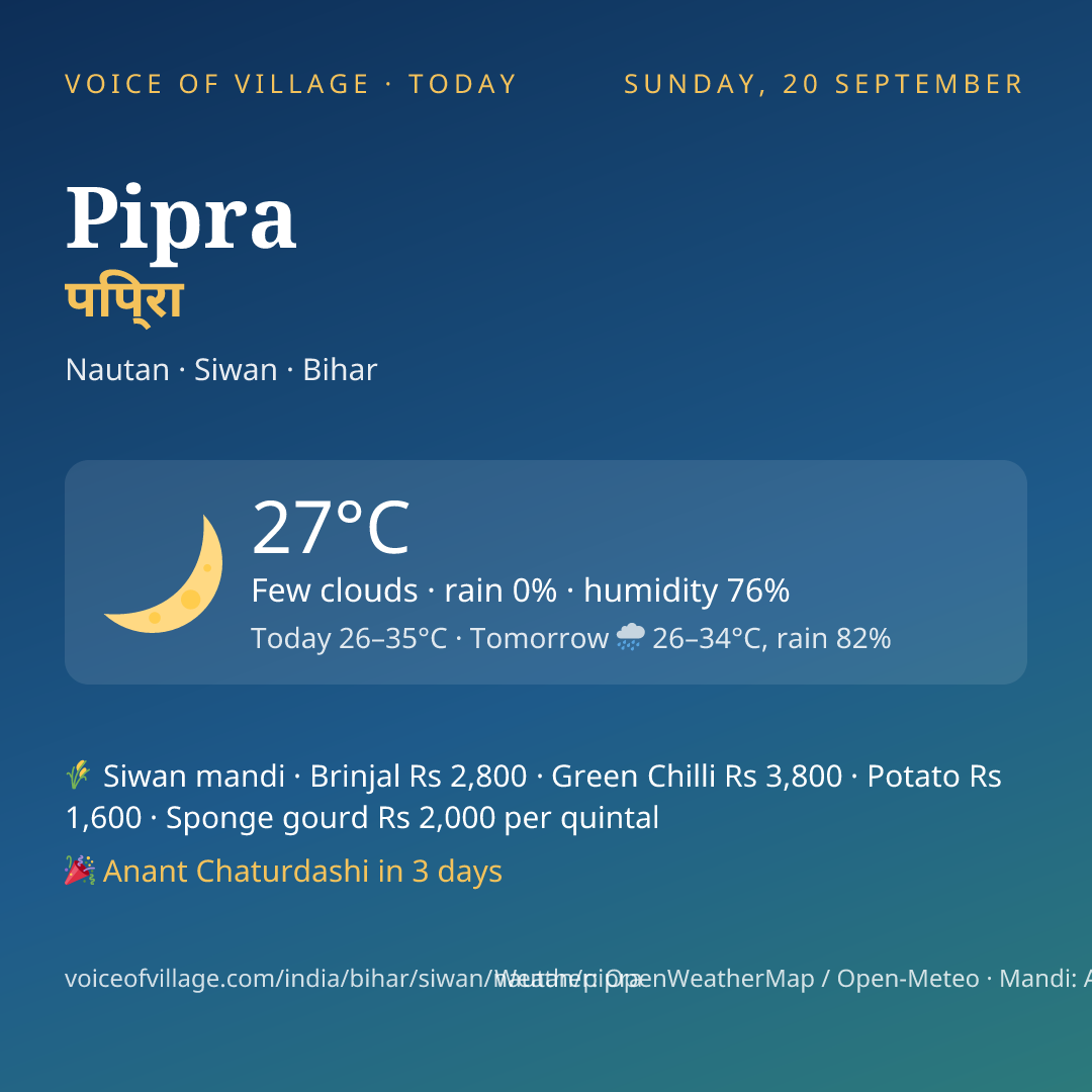 Pipra today