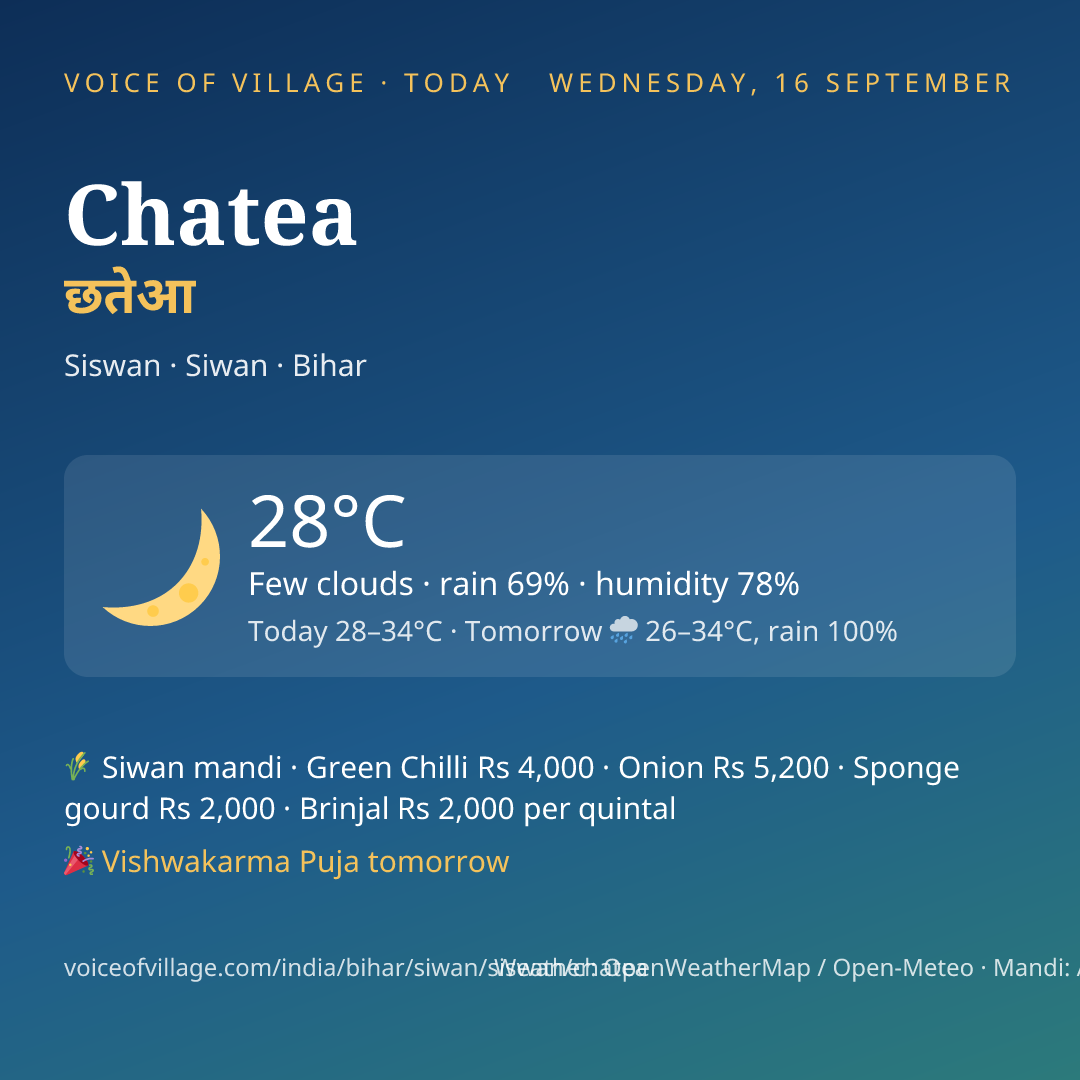 Chatea today