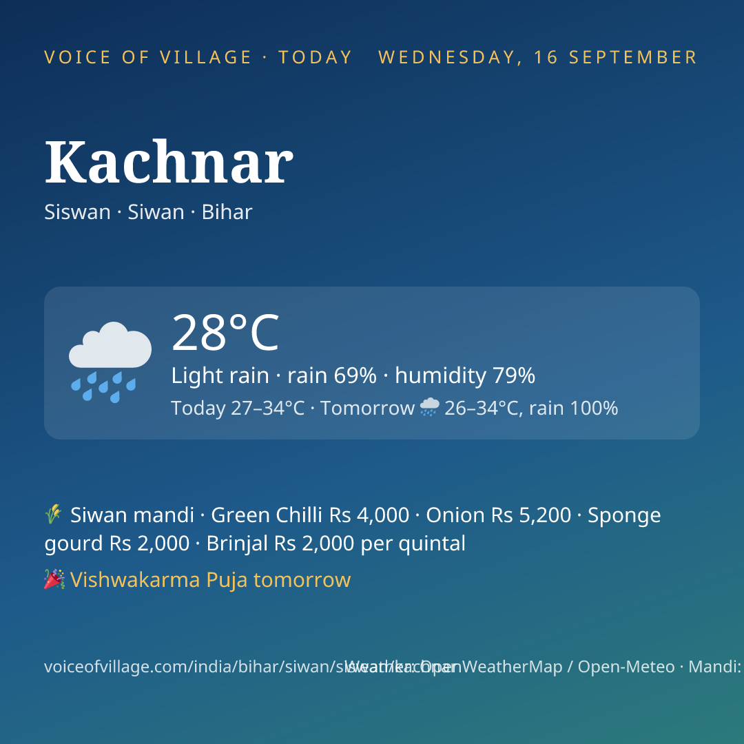 Kachnar today