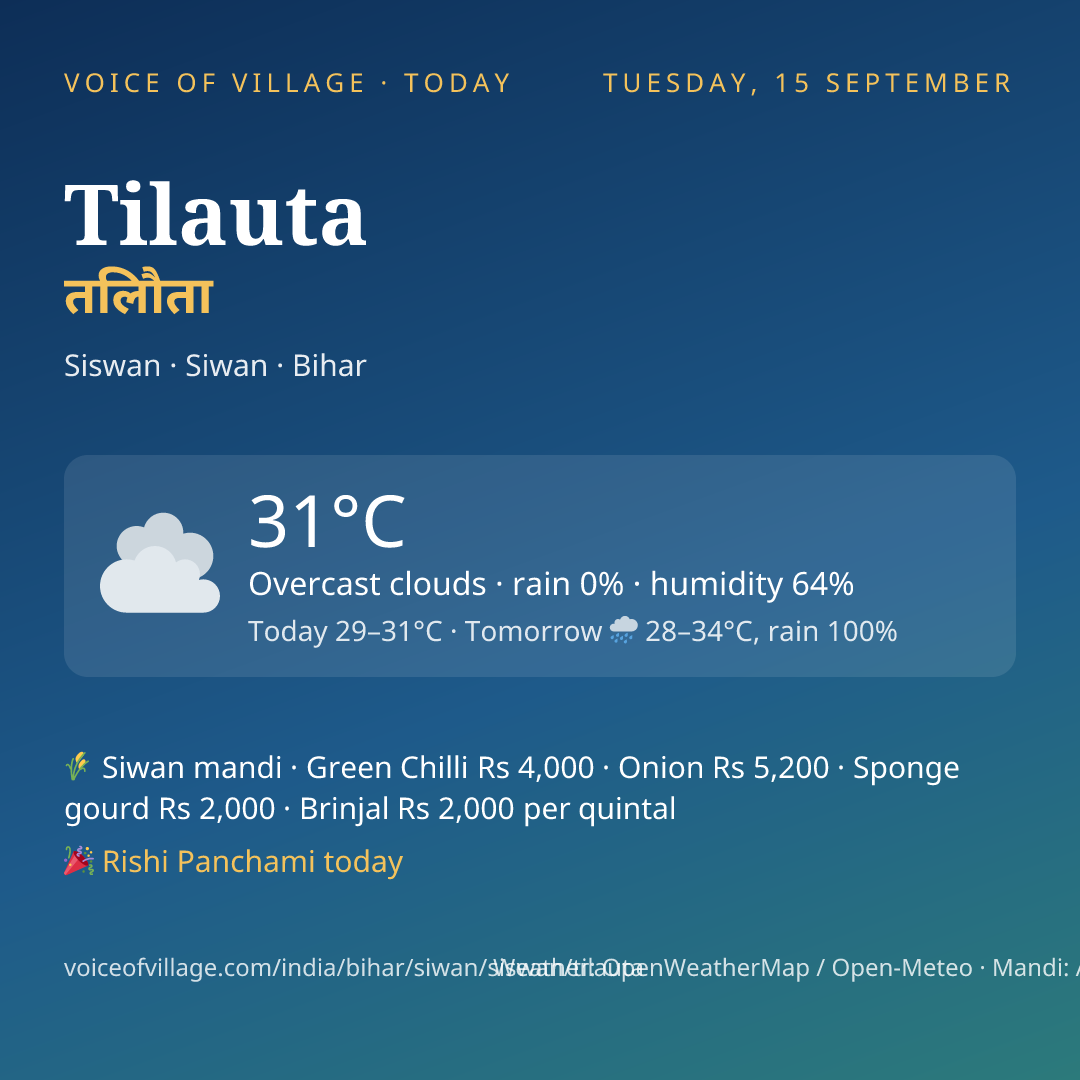 Tilauta today
