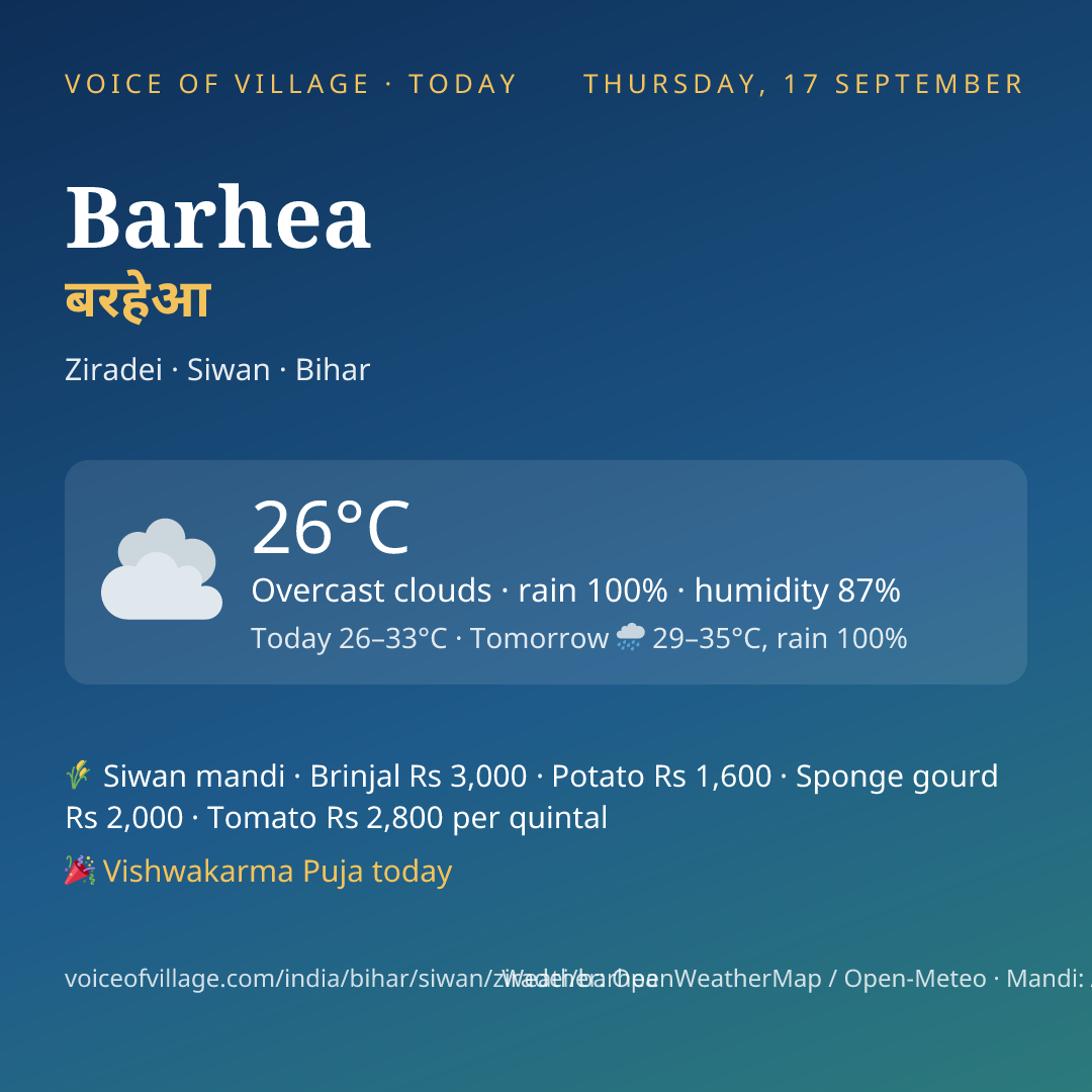 Barhea today