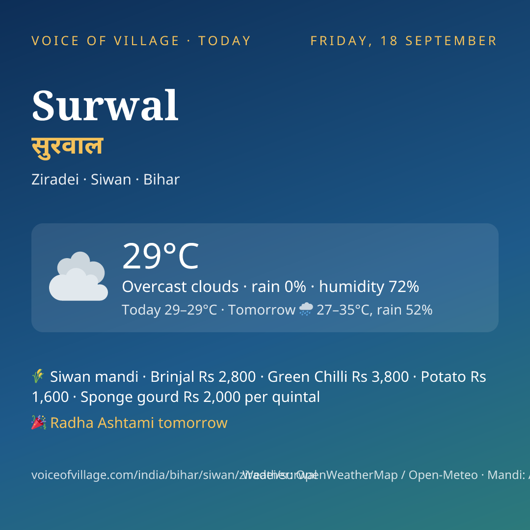 Surwal today