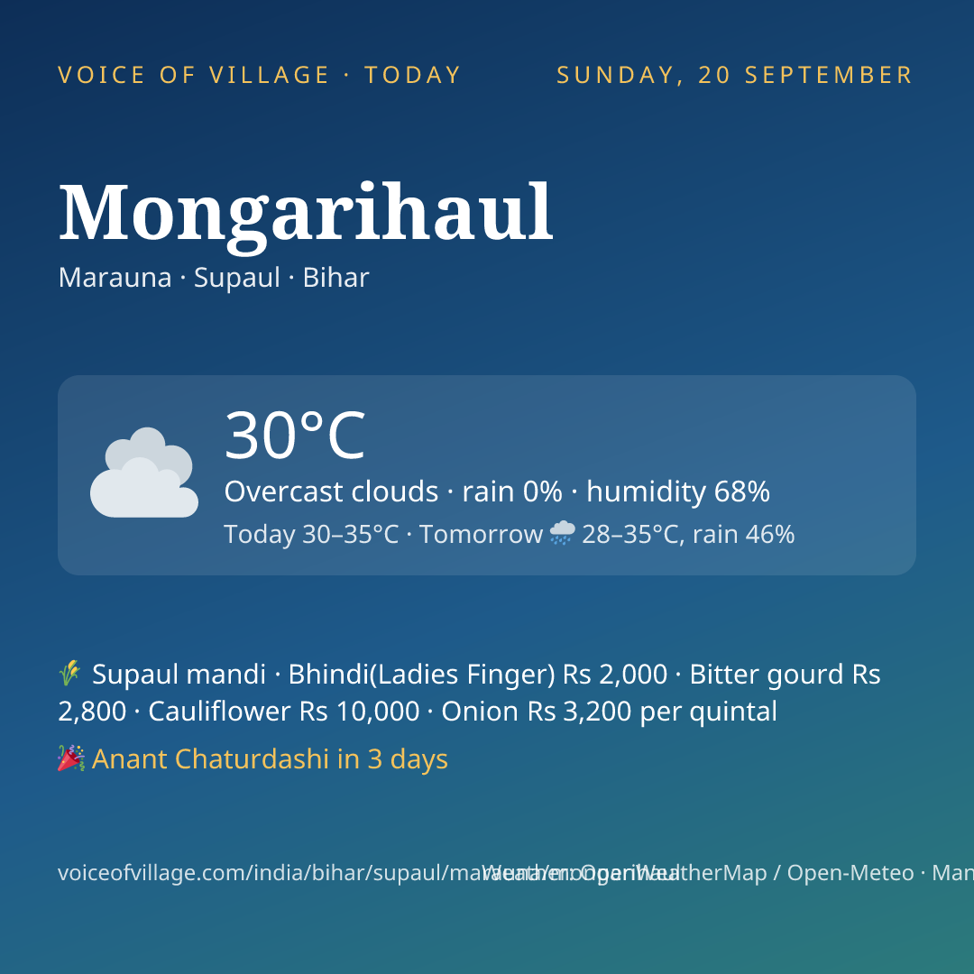 Mongarihaul today