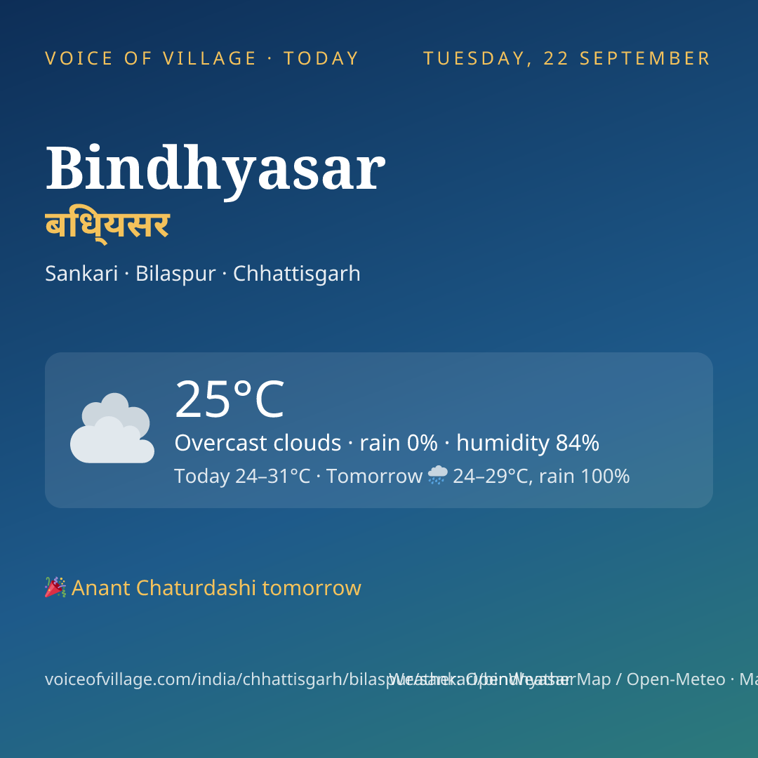 Bindhyasar today