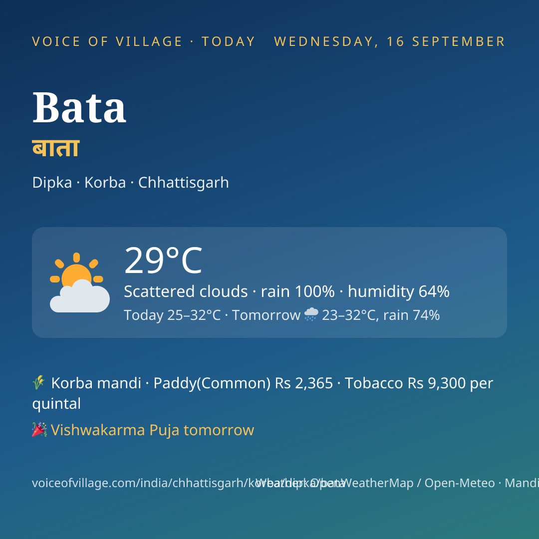 Bata today