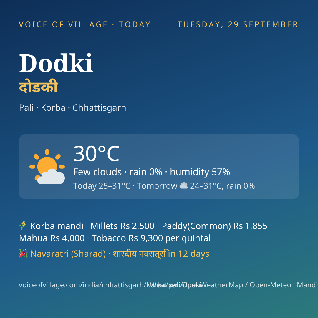 Dodki today