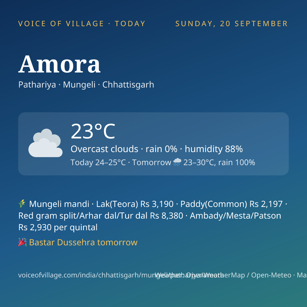 Amora today