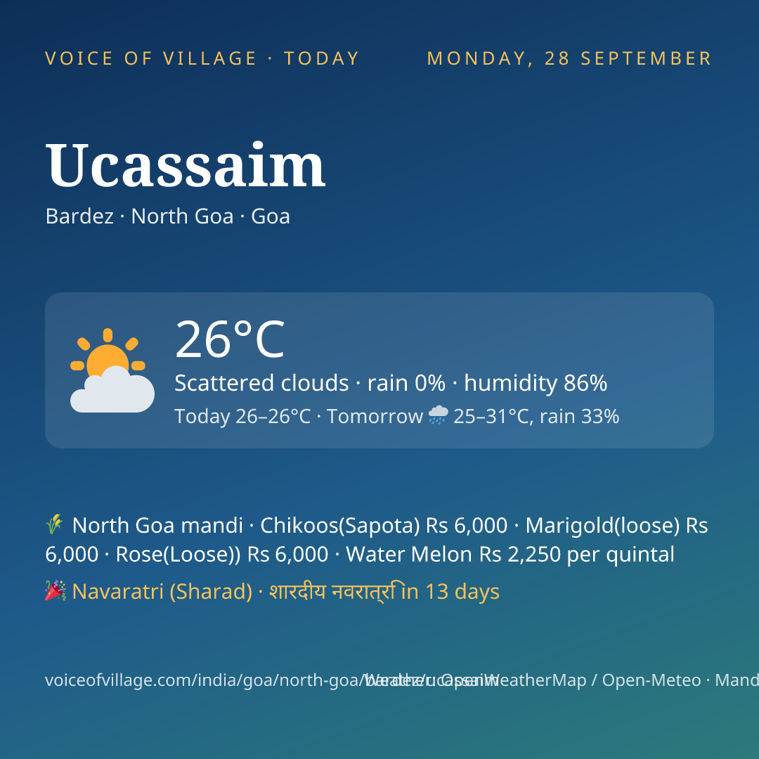 Ucassaim today