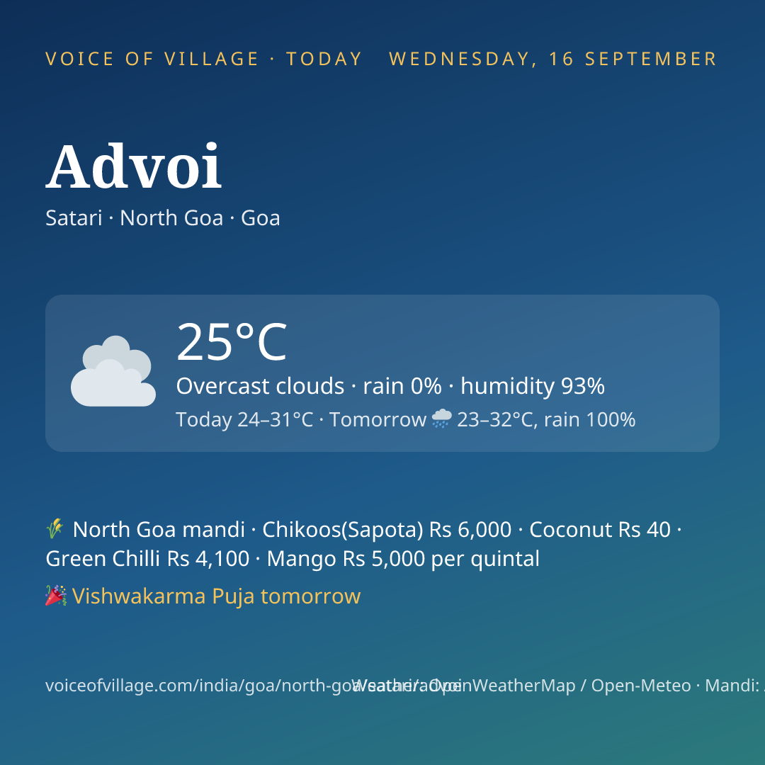 Advoi today