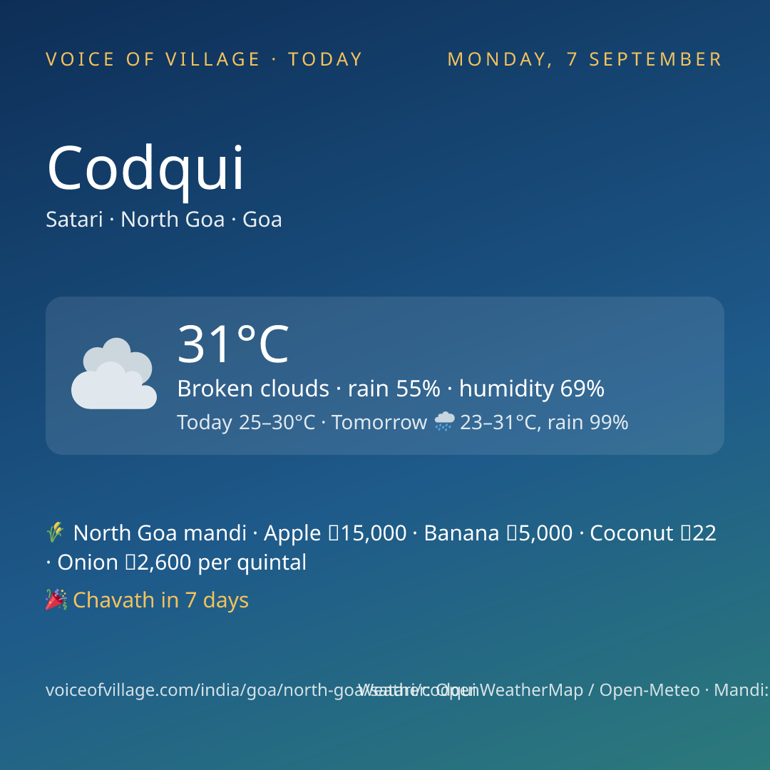 Codqui today