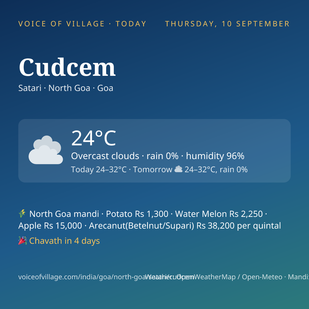 Cudcem today