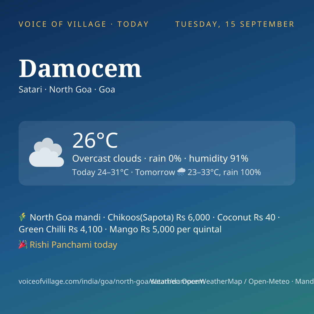 Damocem today