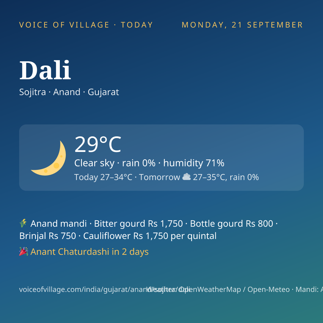 Dali today