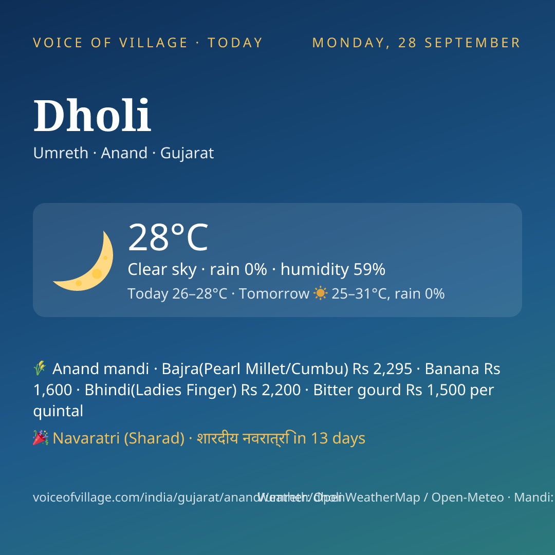 Dholi today