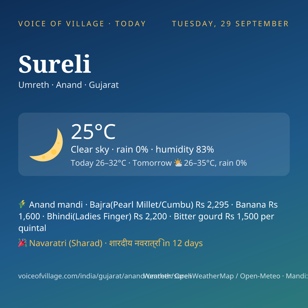 Sureli today