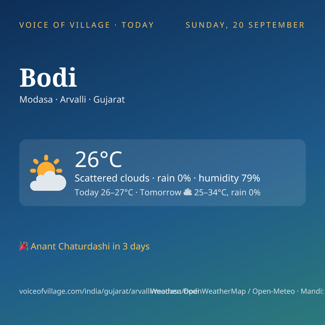 Bodi today