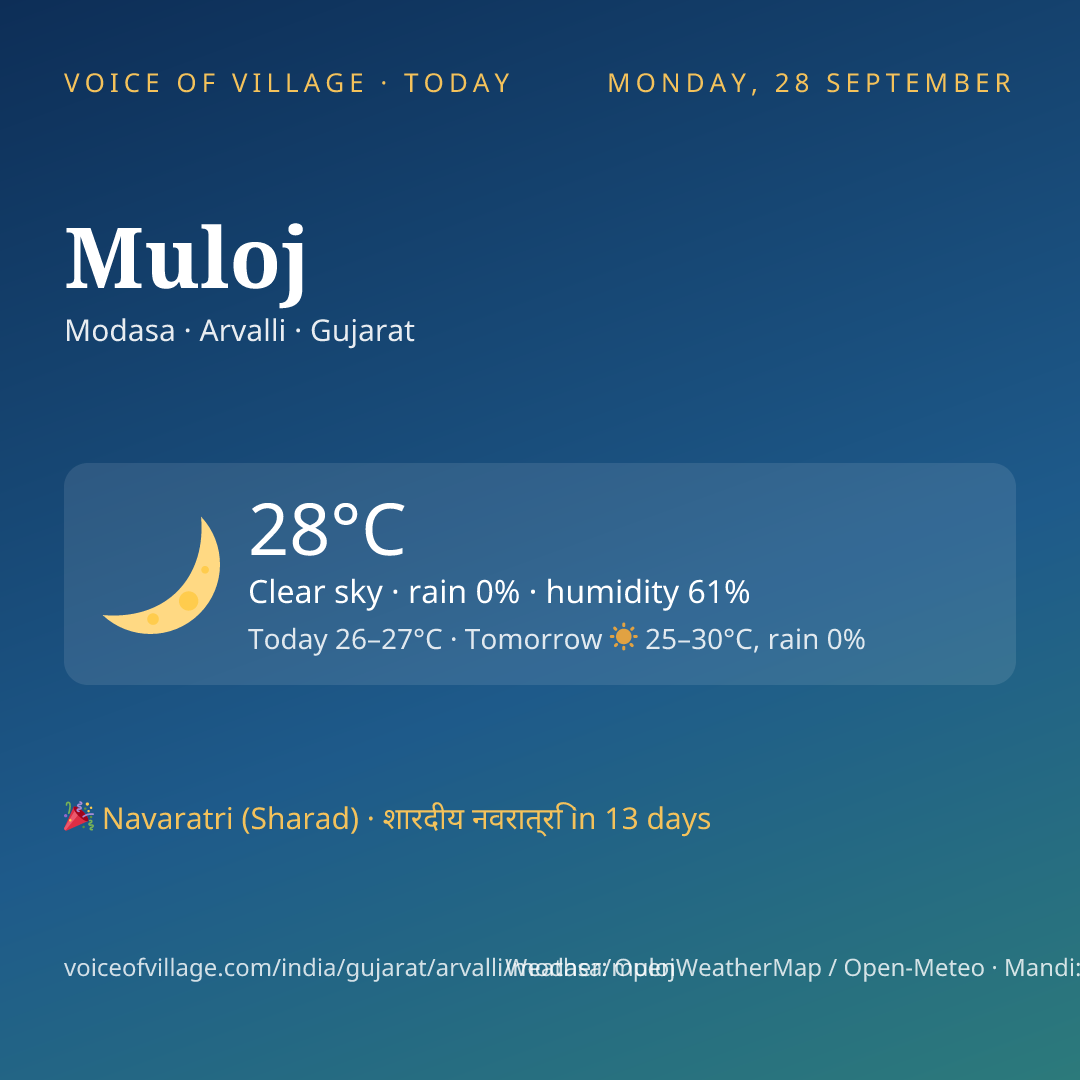 Muloj today