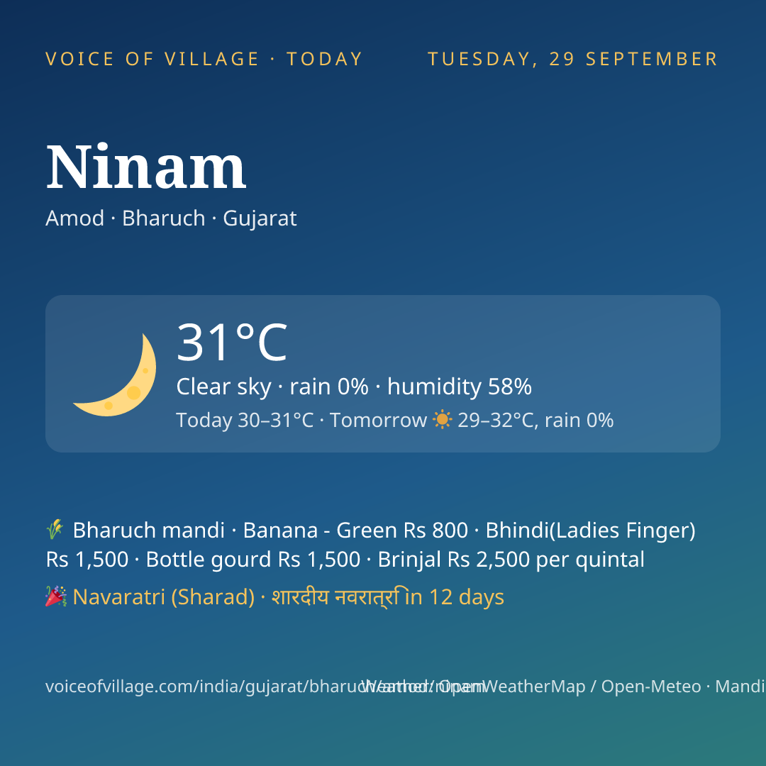 Ninam today