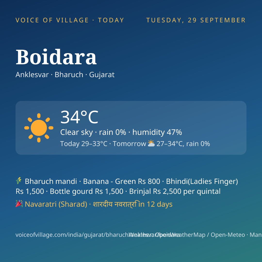 Boidara today