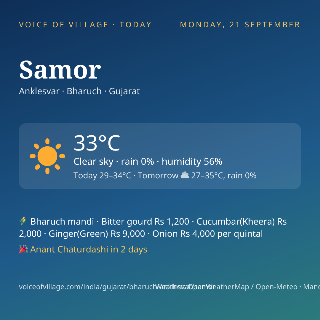 Samor today