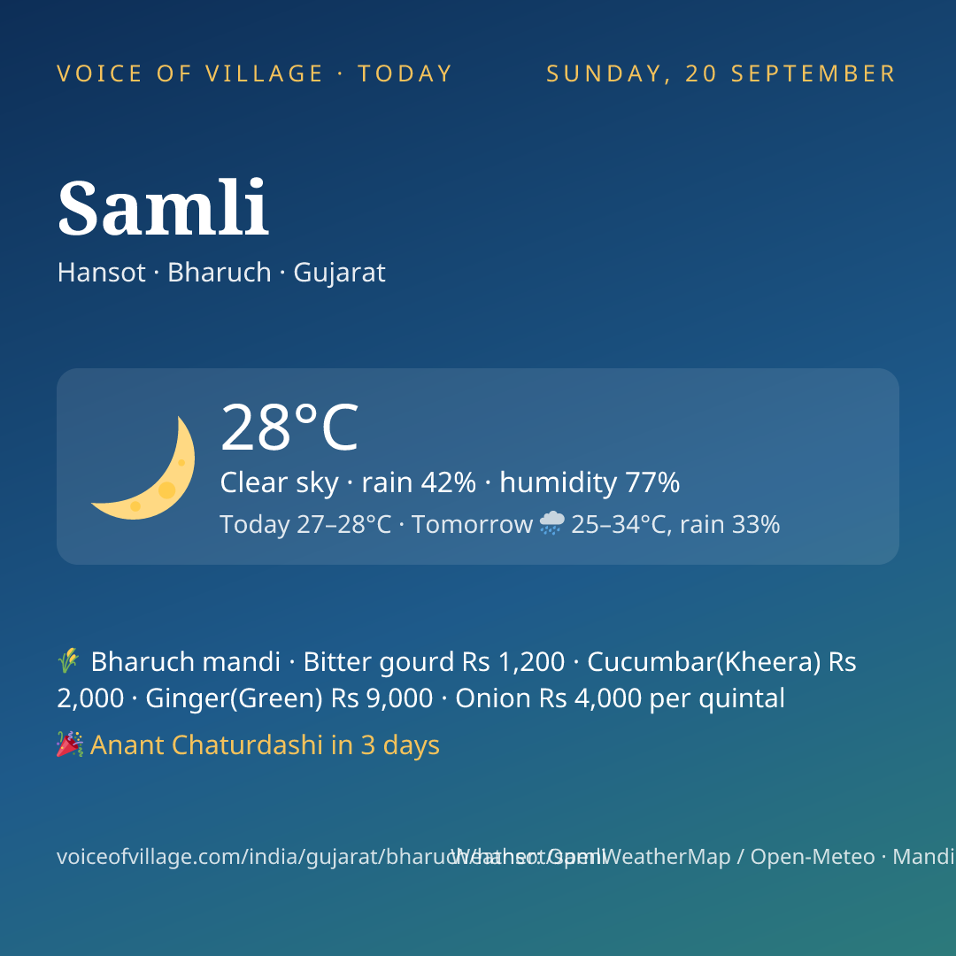 Samli today