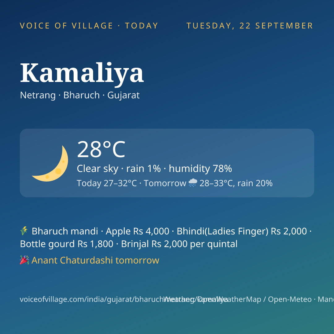 Kamaliya today