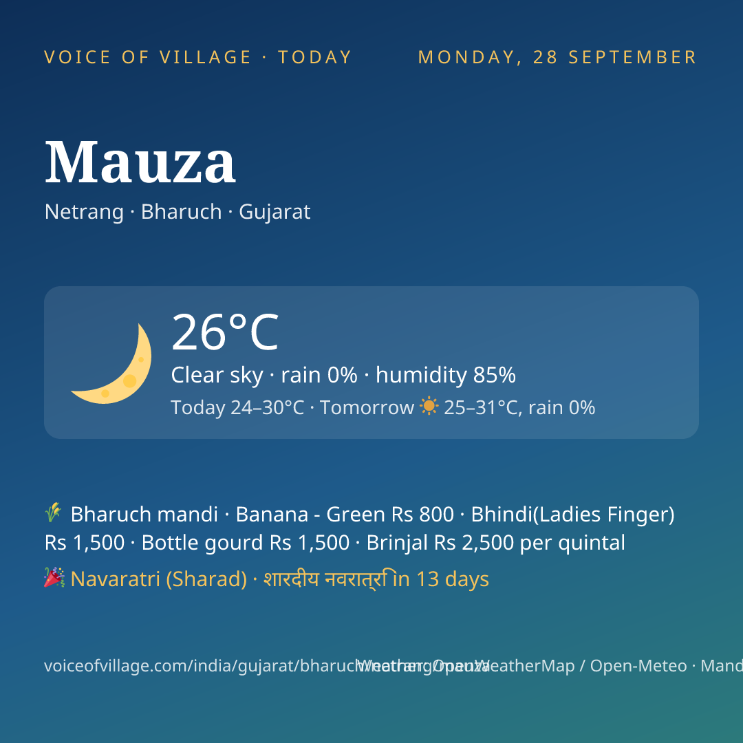 Mauza today