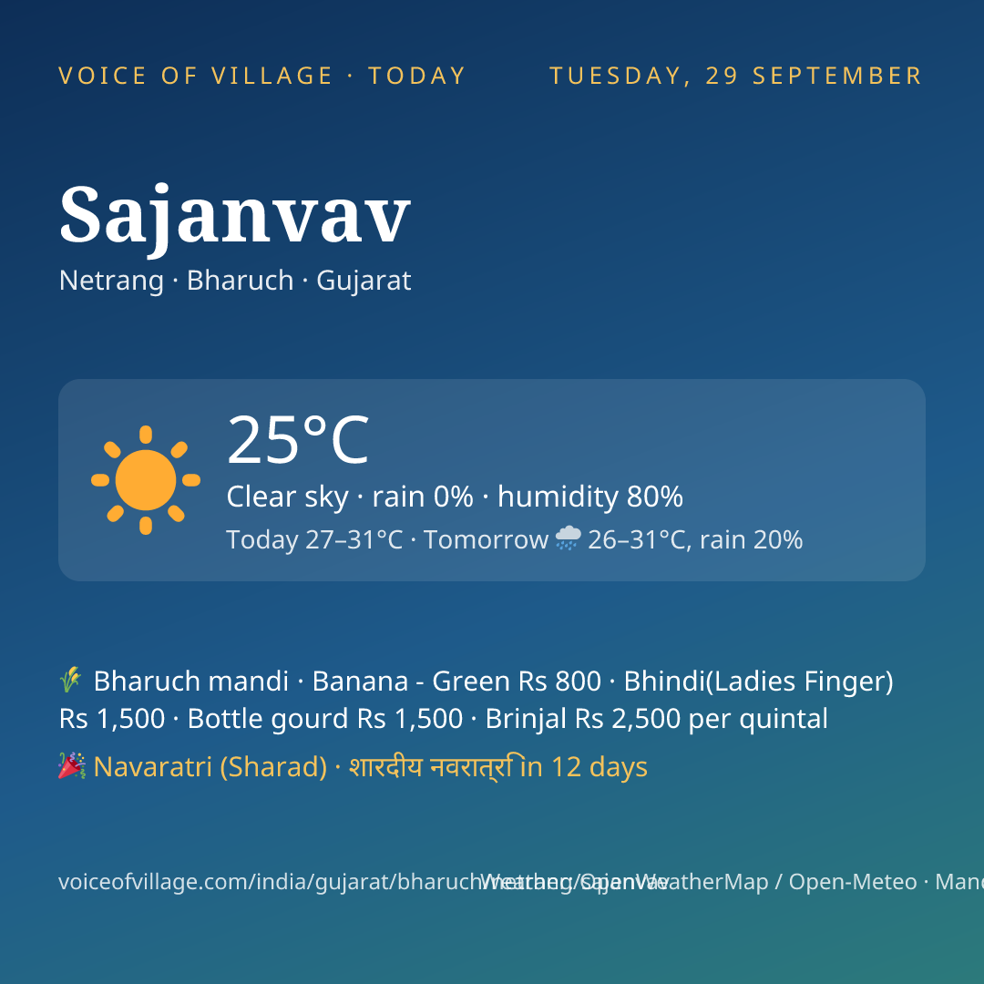 Sajanvav today
