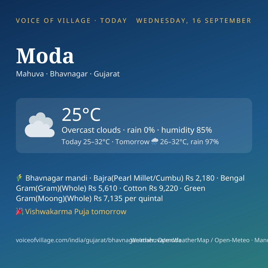 Moda today