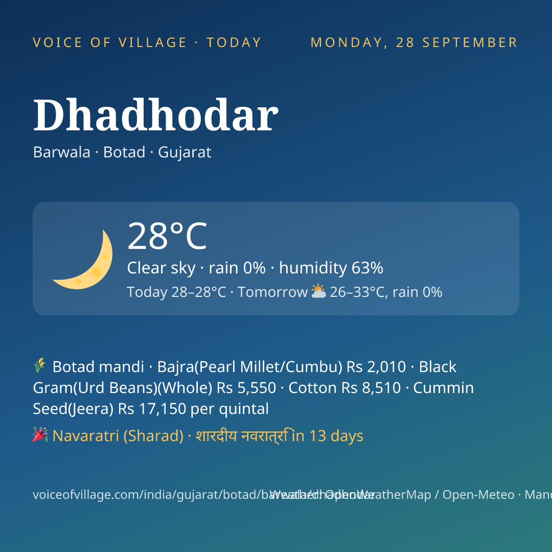 Dhadhodar today