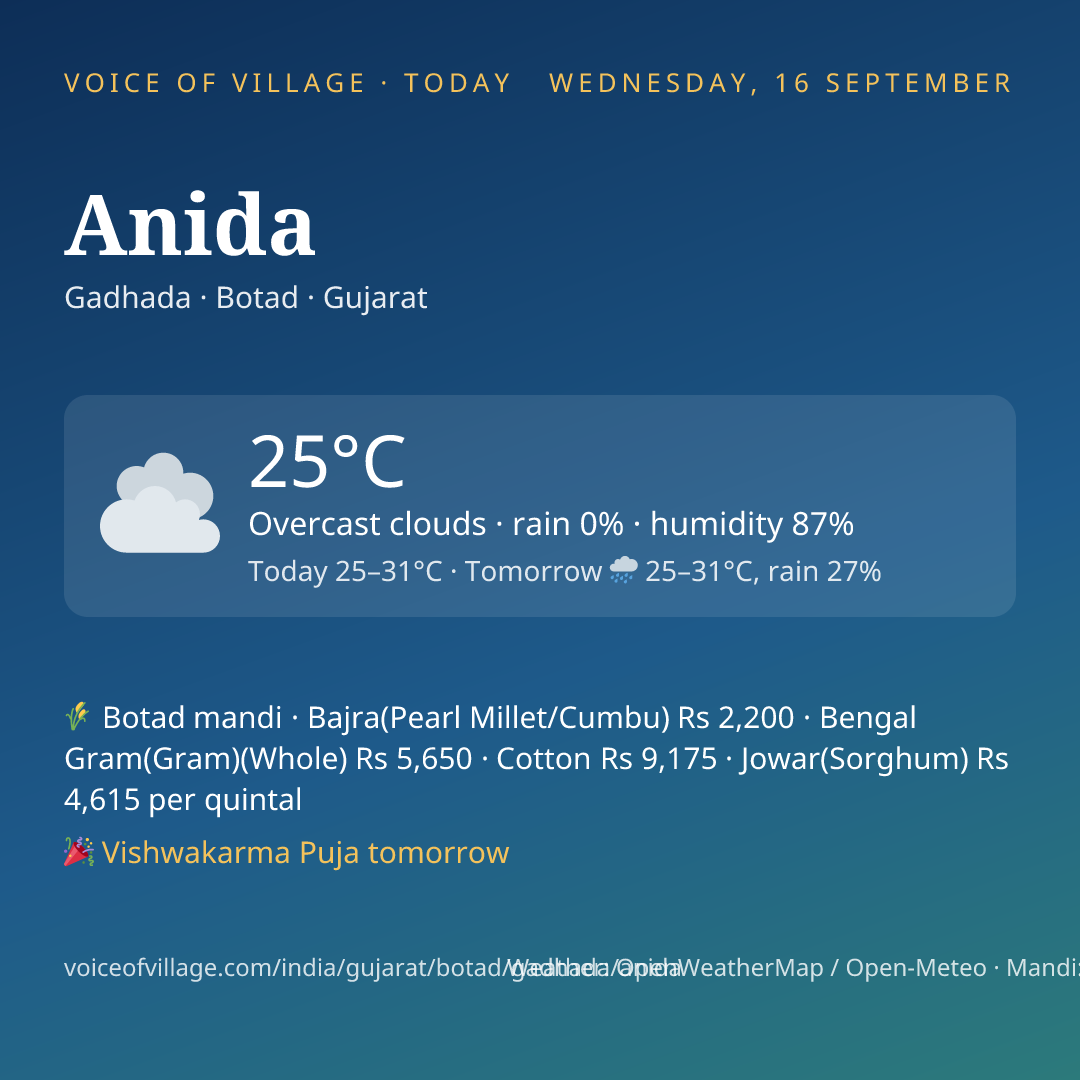Anida today