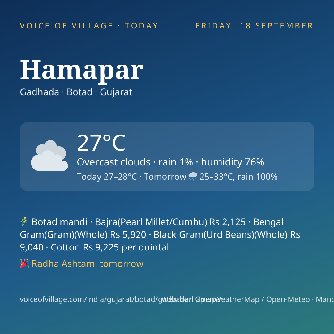 Hamapar today