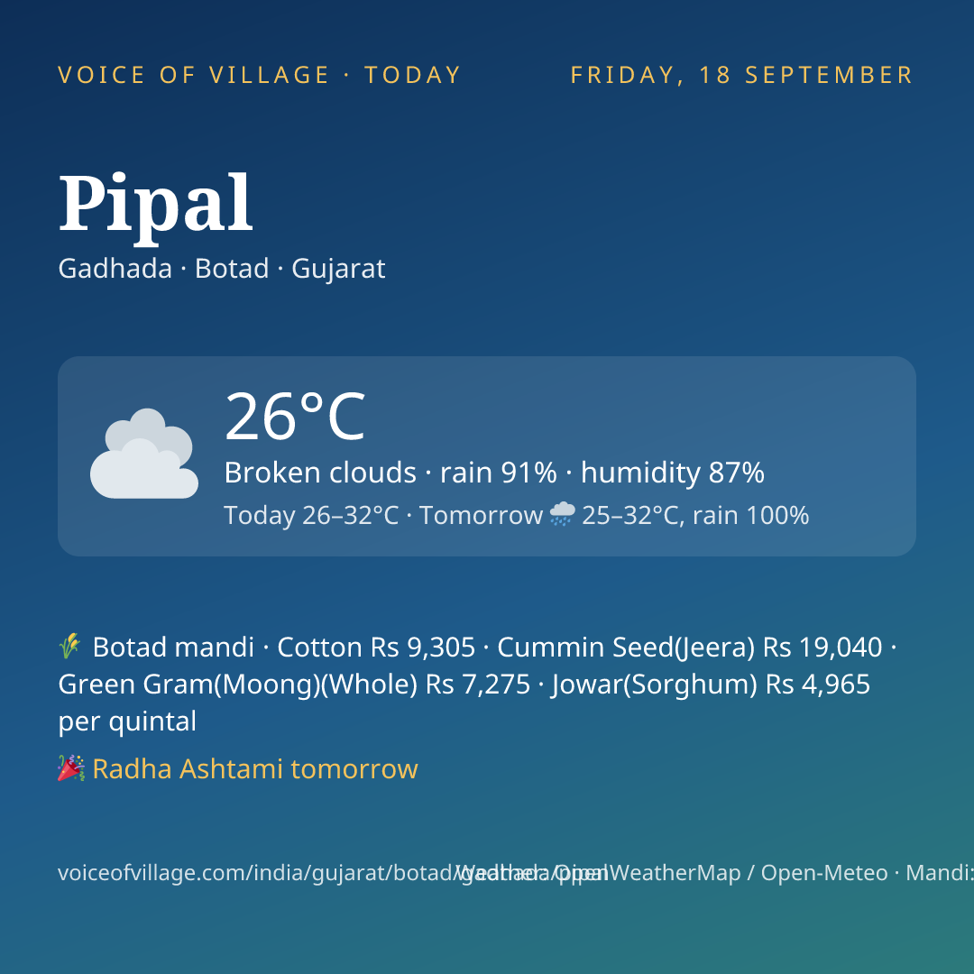 Pipal today