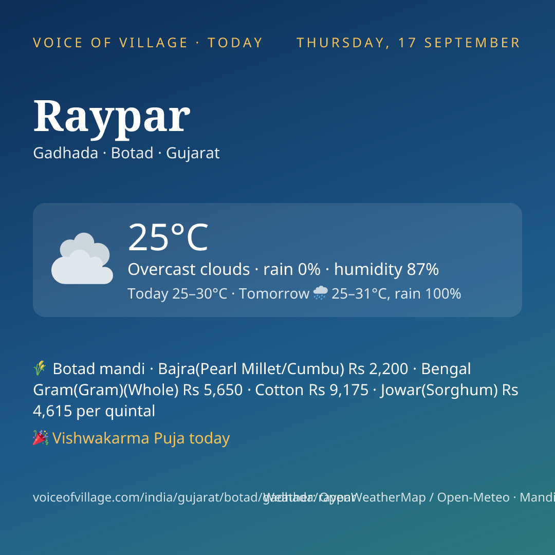 Raypar today
