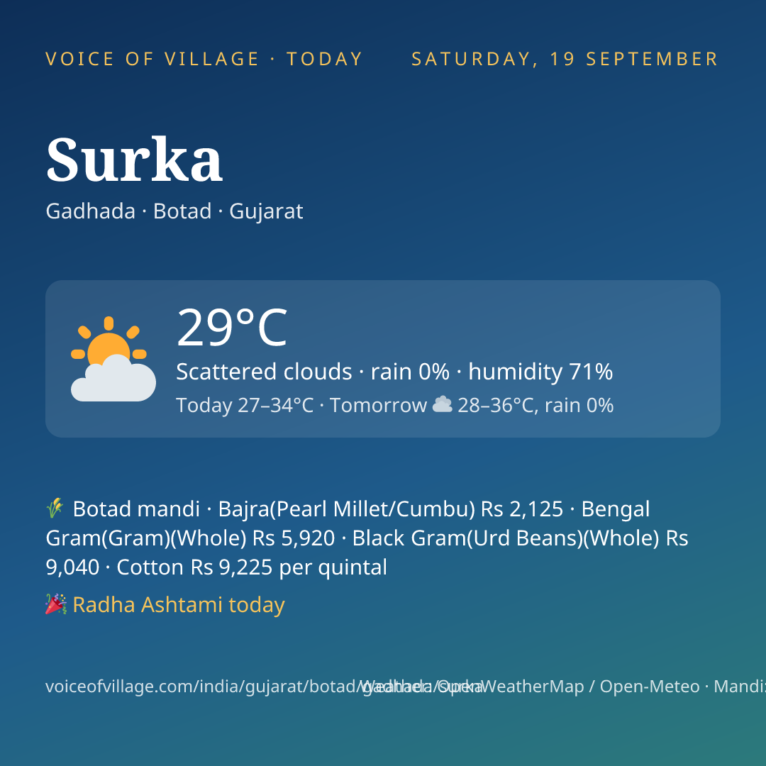 Surka today