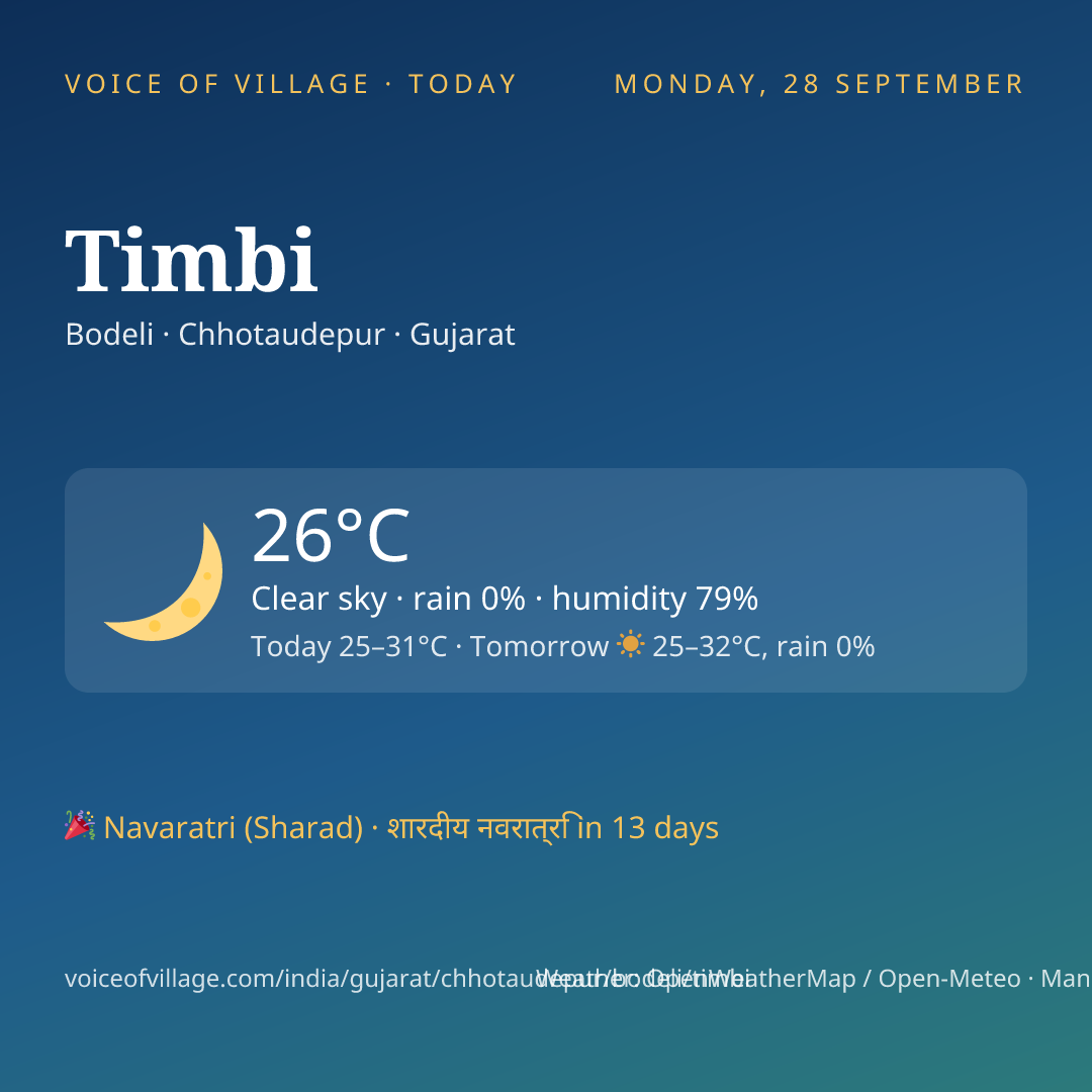Timbi today