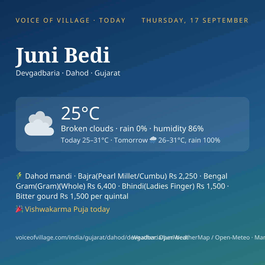 Juni Bedi today