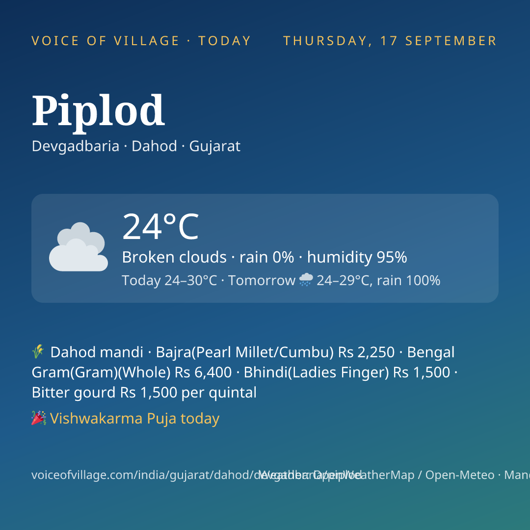 Piplod today