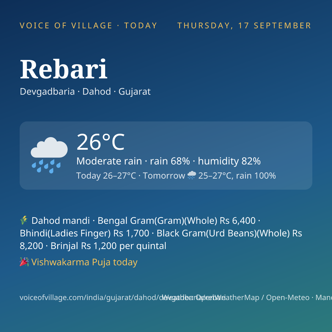 Rebari today