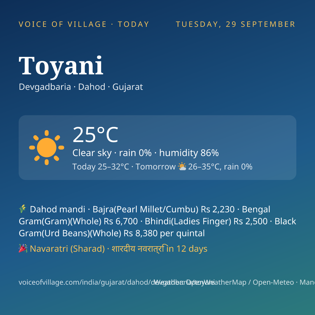 Toyani today