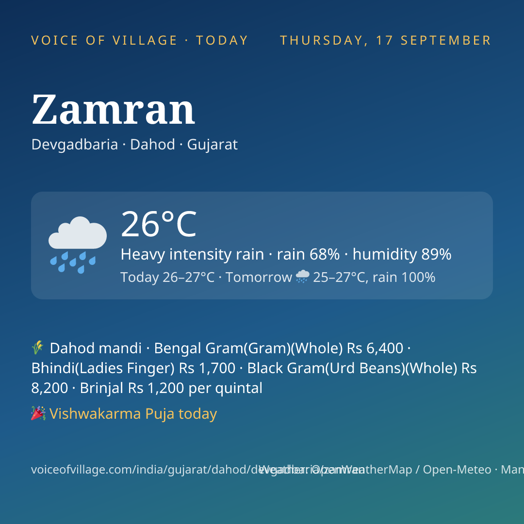 Zamran today